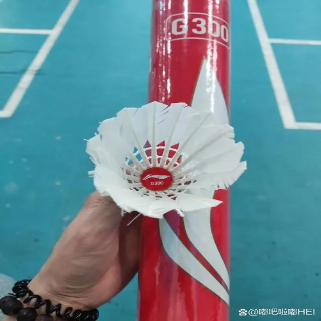 足球赛事动态与新闻资讯最新解析